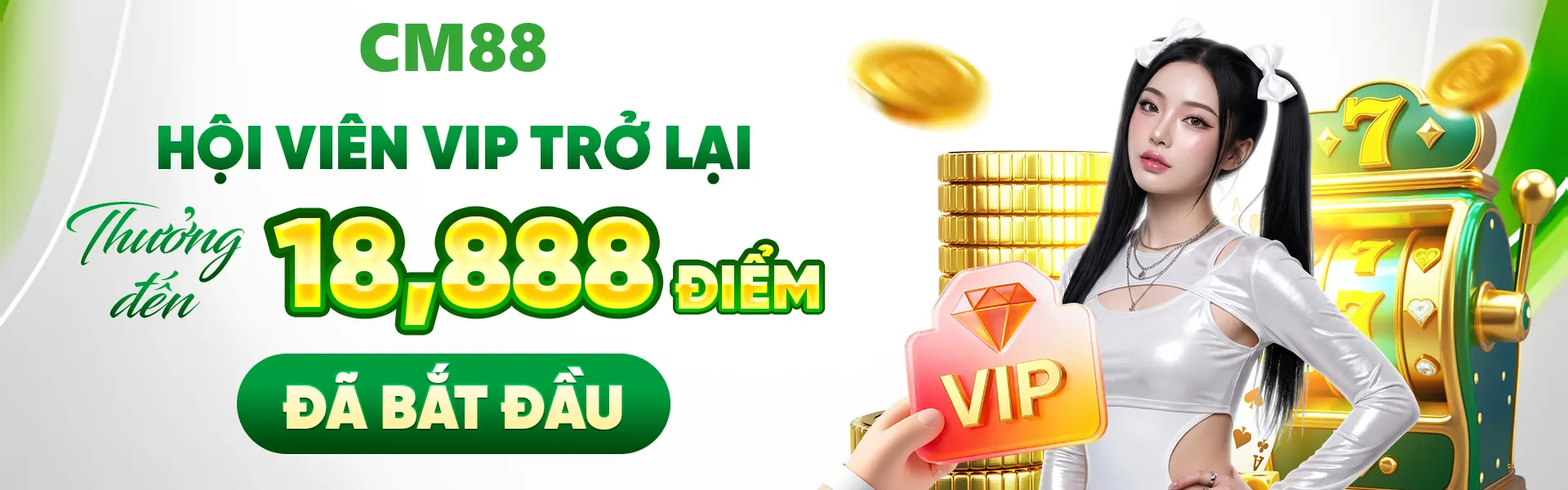 banner cm88 bbrother
